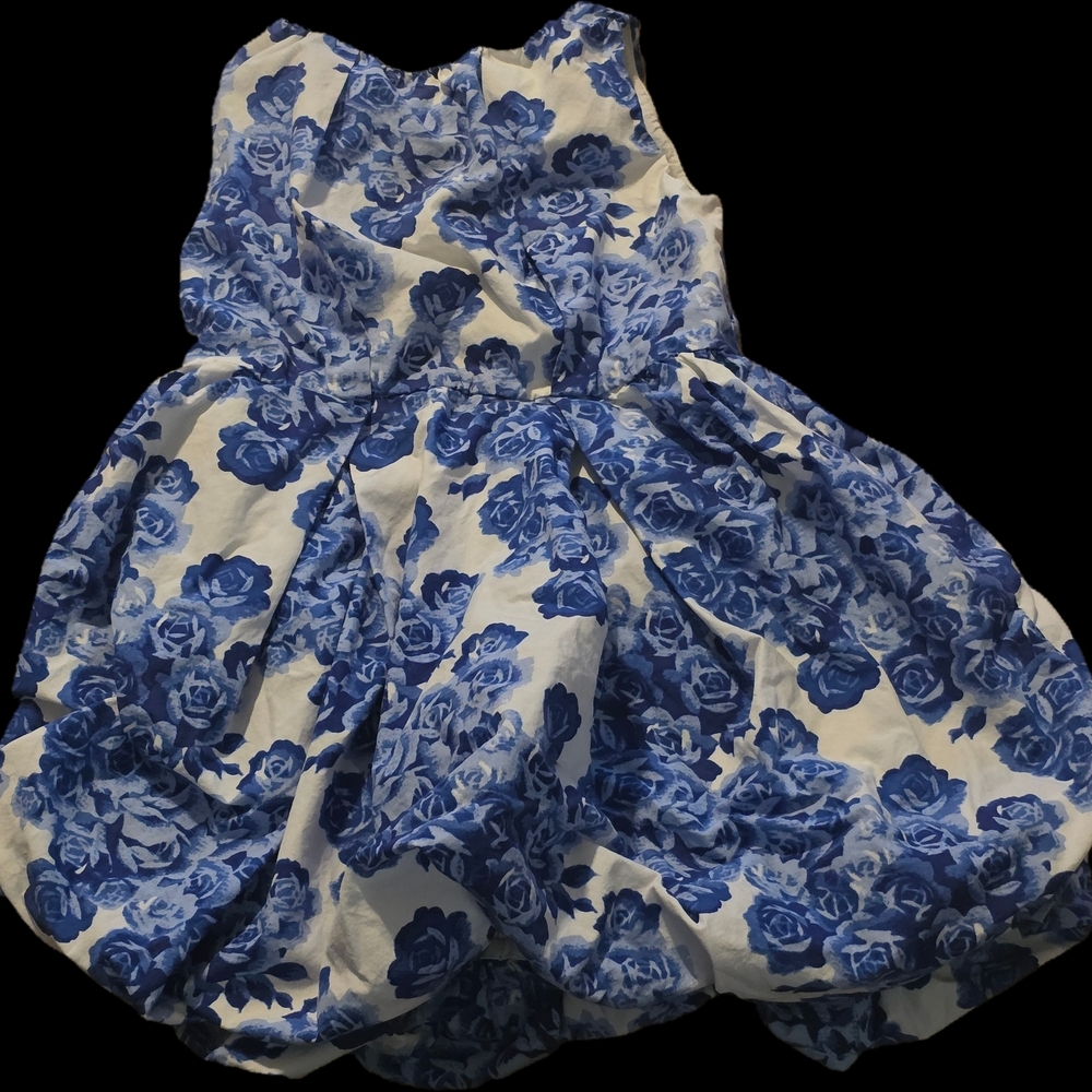 Crewcuts Blue and White Floral Kids Dress
